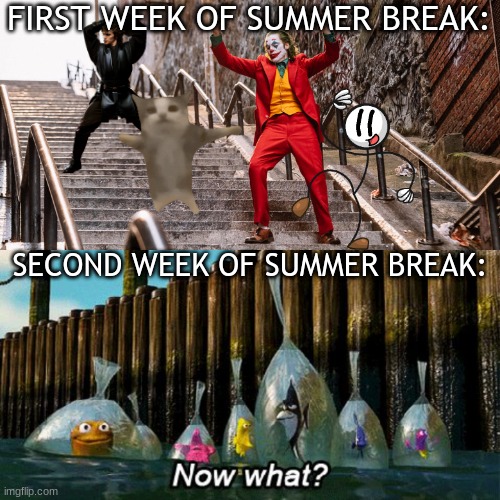welp... | FIRST WEEK OF SUMMER BREAK:; SECOND WEEK OF SUMMER BREAK: | image tagged in joker dance | made w/ Imgflip meme maker
