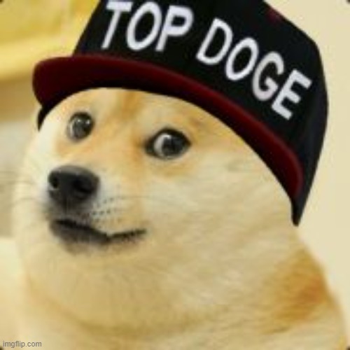 Top Doge | image tagged in top doge | made w/ Imgflip meme maker