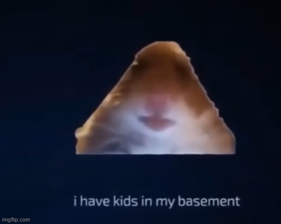 i have kids in my basement hampter | image tagged in i have kids in my basement hampter | made w/ Imgflip meme maker