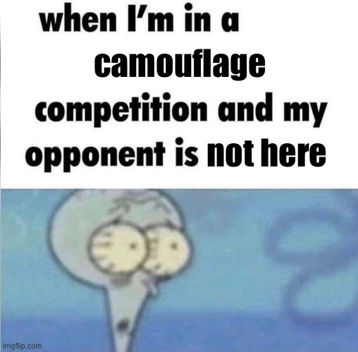 whe i'm in a competition and my opponent is | camouflage; not here | image tagged in whe i'm in a competition and my opponent is | made w/ Imgflip meme maker