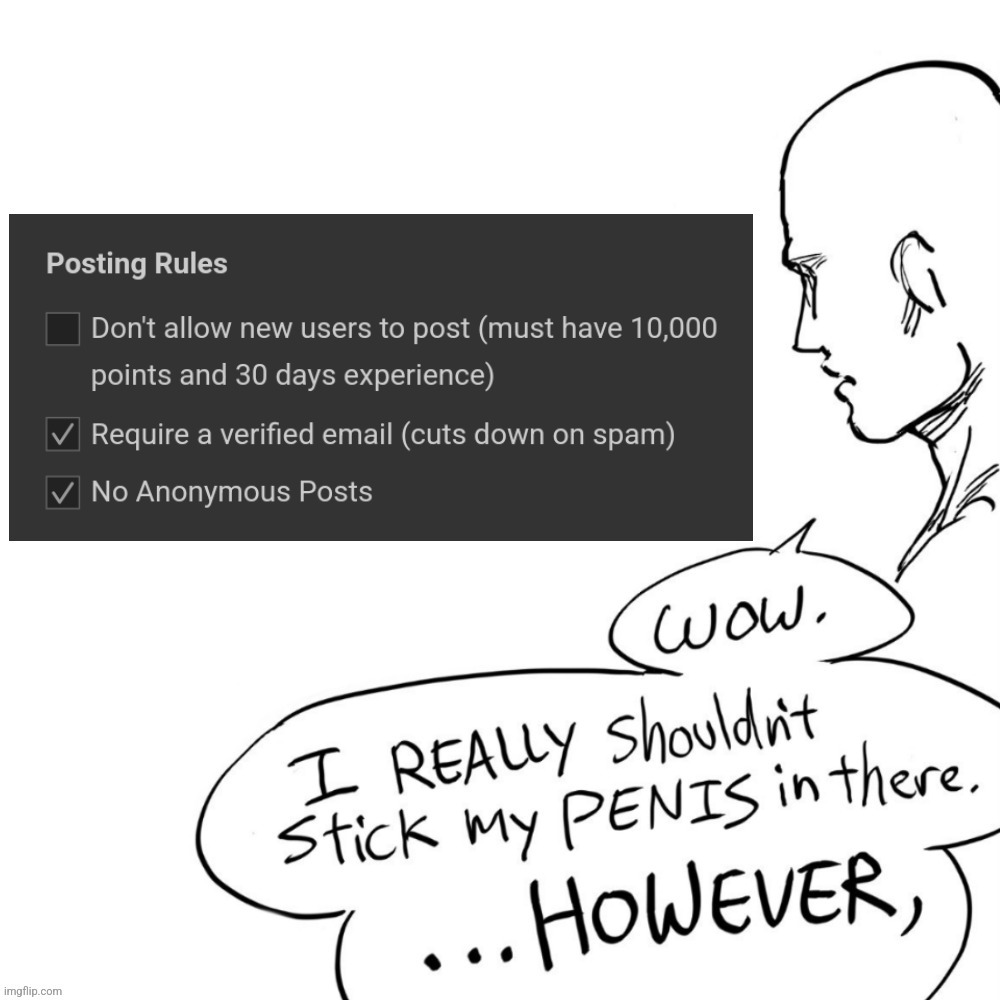 10k rule | image tagged in wow i really shouldn't stick my penis in there however,no noobs,10k,10k rule | made w/ Imgflip meme maker