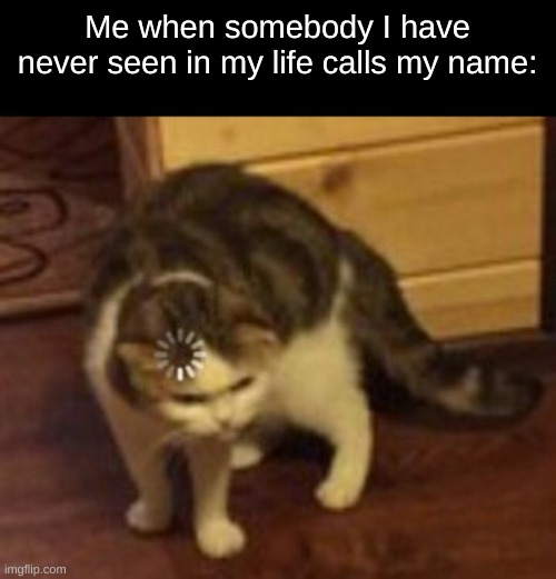 :| | Me when somebody I have never seen in my life calls my name: | image tagged in loading cat | made w/ Imgflip meme maker