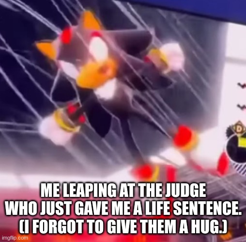 ME LEAPING AT THE JUDGE WHO JUST GAVE ME A LIFE SENTENCE. (I FORGOT TO GIVE THEM A HUG.) | image tagged in shadow the hedgehog | made w/ Imgflip meme maker