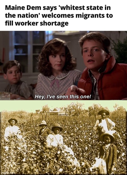 Democrat history repeats itself | image tagged in hey ive seen this one before,cotton slaves,slavery,memes | made w/ Imgflip meme maker