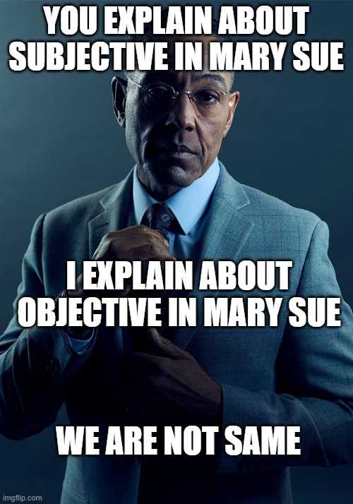 Explain about Mary Sue | YOU EXPLAIN ABOUT SUBJECTIVE IN MARY SUE; I EXPLAIN ABOUT OBJECTIVE IN MARY SUE; WE ARE NOT SAME | image tagged in gus fring we are not the same,mary sue,writing,writer,story | made w/ Imgflip meme maker