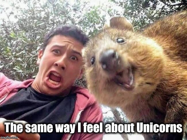 Quokka and Stan | The same way I feel about Unicorns | image tagged in quokka and stan | made w/ Imgflip meme maker