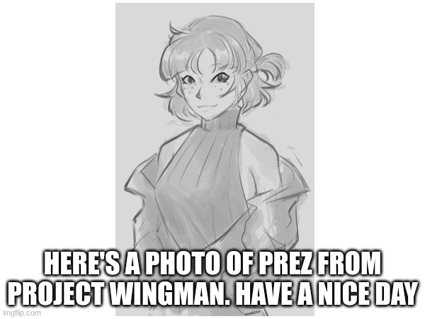 Nah I'd Smash | HERE'S A PHOTO OF PREZ FROM PROJECT WINGMAN. HAVE A NICE DAY | image tagged in projectwingman,prez | made w/ Imgflip meme maker