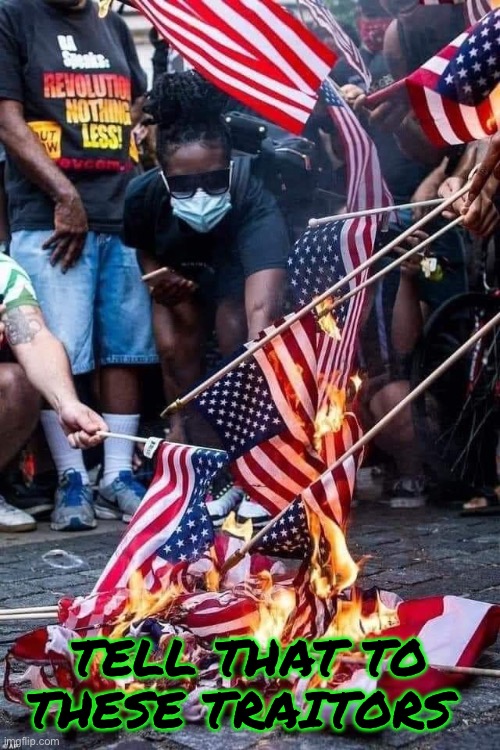 Flag Burners | TELL THAT TO THESE TRAITORS | image tagged in flag burners | made w/ Imgflip meme maker