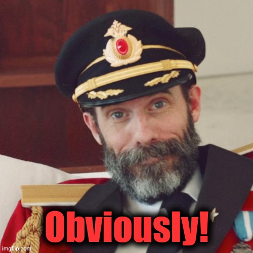 Captain Obvious | Obviously! | image tagged in captain obvious | made w/ Imgflip meme maker