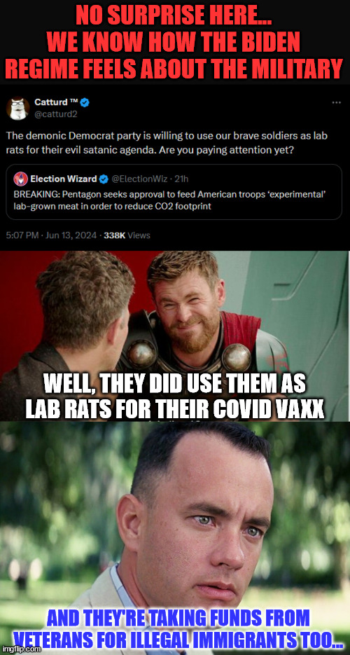 Actions speak louder than words... | NO SURPRISE HERE... WE KNOW HOW THE BIDEN REGIME FEELS ABOUT THE MILITARY; WELL, THEY DID USE THEM AS LAB RATS FOR THEIR COVID VAXX; AND THEY'RE TAKING FUNDS FROM VETERANS FOR ILLEGAL IMMIGRANTS TOO... | image tagged in memes,and just like that,biden regime,disrepecting us military | made w/ Imgflip meme maker