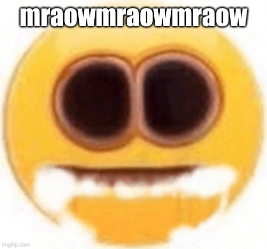 emoji foaming at the mouth | mraowmraowmraow | image tagged in emoji foaming at the mouth | made w/ Imgflip meme maker