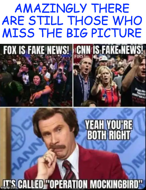 Never trust the corporate media propagandists | AMAZINGLY THERE ARE STILL THOSE WHO MISS THE BIG PICTURE | image tagged in msm,government propaganda | made w/ Imgflip meme maker