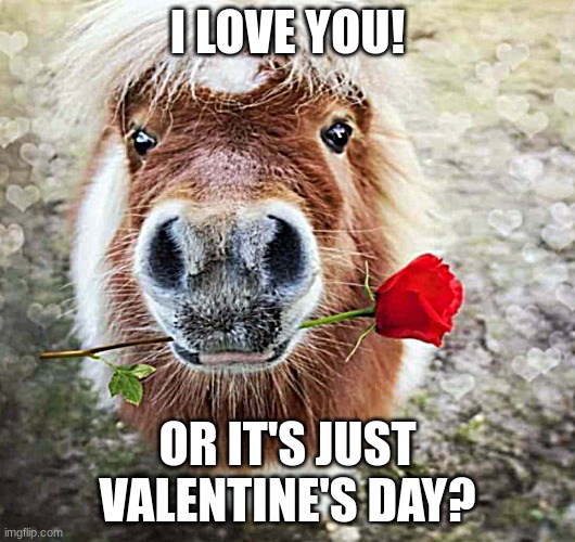 Tiny Love Pony | I LOVE YOU! OR IT'S JUST VALENTINE'S DAY? | image tagged in horses,happy valentine's day | made w/ Imgflip meme maker