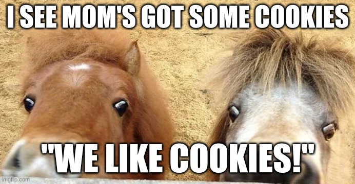 Horses and Cookies | I SEE MOM'S GOT SOME COOKIES; "WE LIKE COOKIES!" | image tagged in horses,cookies | made w/ Imgflip meme maker