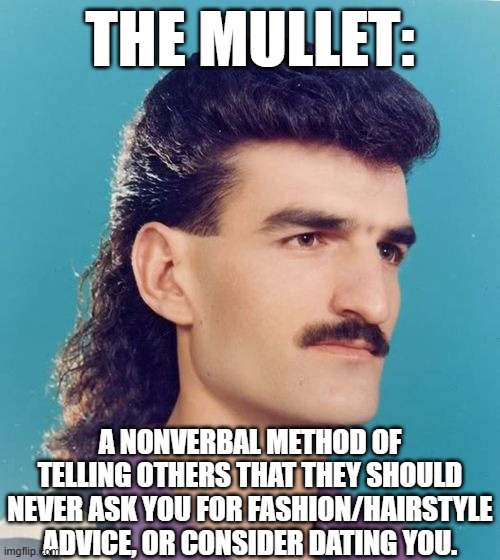 The Mullet | THE MULLET:; A NONVERBAL METHOD OF TELLING OTHERS THAT THEY SHOULD NEVER ASK YOU FOR FASHION/HAIRSTYLE ADVICE, OR CONSIDER DATING YOU. | image tagged in mullet,fashion,1980s,80s,80's,1980's | made w/ Imgflip meme maker