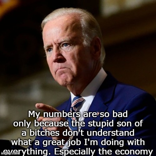 Yeah, it's just a messaging failure | My numbers are so bad only because the stupid son of a bitches don't understand what a great job I'm doing with everything. Especially the economy | image tagged in biden messaging problem meme | made w/ Imgflip meme maker