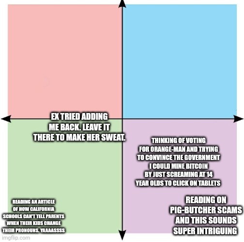 Blank Political Compass | EX TRIED ADDING ME BACK. LEAVE IT THERE TO MAKE HER SWEAT. THINKING OF VOTING FOR ORANGE-MAN AND TRYING TO CONVINCE THE GOVERNMENT I COULD MINE BITCOIN BY JUST SCREAMING AT 14 YEAR OLDS TO CLICK ON TABLETS; READING ON PIG-BUTCHER SCAMS AND THIS SOUNDS SUPER INTRIGUING; READING AN ARTICLE OF HOW CALIFORNIA SCHOOLS CAN'T TELL PARENTS WHEN THEIR KIDS CHANGE THEIR PRONOUNS. YAAAASSSS | image tagged in blank political compass | made w/ Imgflip meme maker