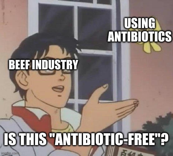 Antibiotics have been found on a number of "antibiotic-free" farms | USING ANTIBIOTICS; BEEF INDUSTRY; IS THIS "ANTIBIOTIC-FREE"? | image tagged in memes,is this a pigeon,capitalism,beef,disease,consumerism | made w/ Imgflip meme maker