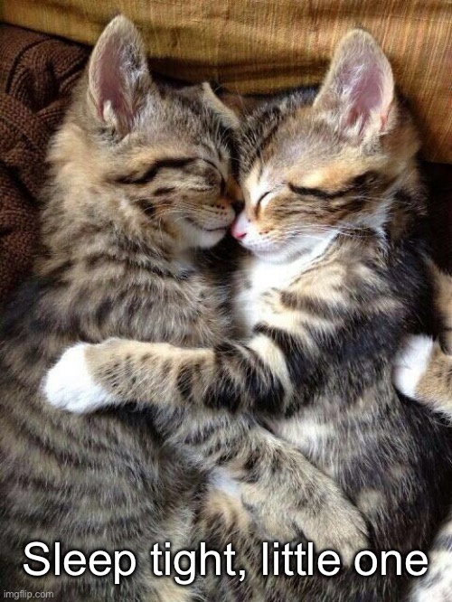 Cute Cats Cuddling | Sleep tight, little one | image tagged in cute cats cuddling | made w/ Imgflip meme maker
