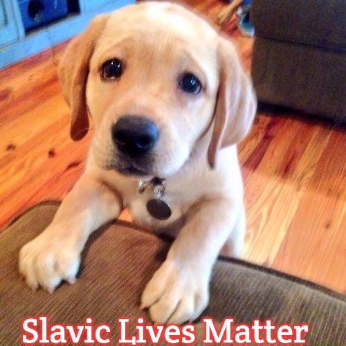 Puppy dog eyes | Slavic Lives Matter | image tagged in puppy dog eyes,slavic | made w/ Imgflip meme maker