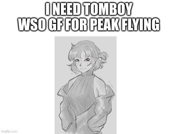 I NEED TOMBOY WSO GF FOR PEAK FLYING | made w/ Imgflip meme maker
