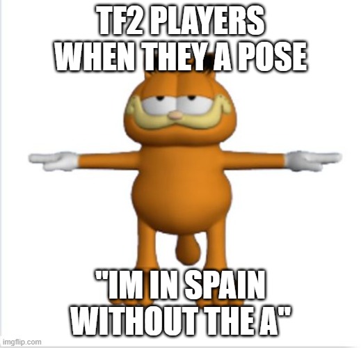 SPIN | TF2 PLAYERS WHEN THEY A POSE; "IM IN SPAIN WITHOUT THE A" | image tagged in garfield t-pose | made w/ Imgflip meme maker