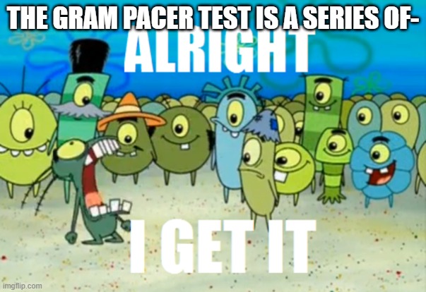 Alright I get It | THE GRAM PACER TEST IS A SERIES OF- | image tagged in alright i get it | made w/ Imgflip meme maker