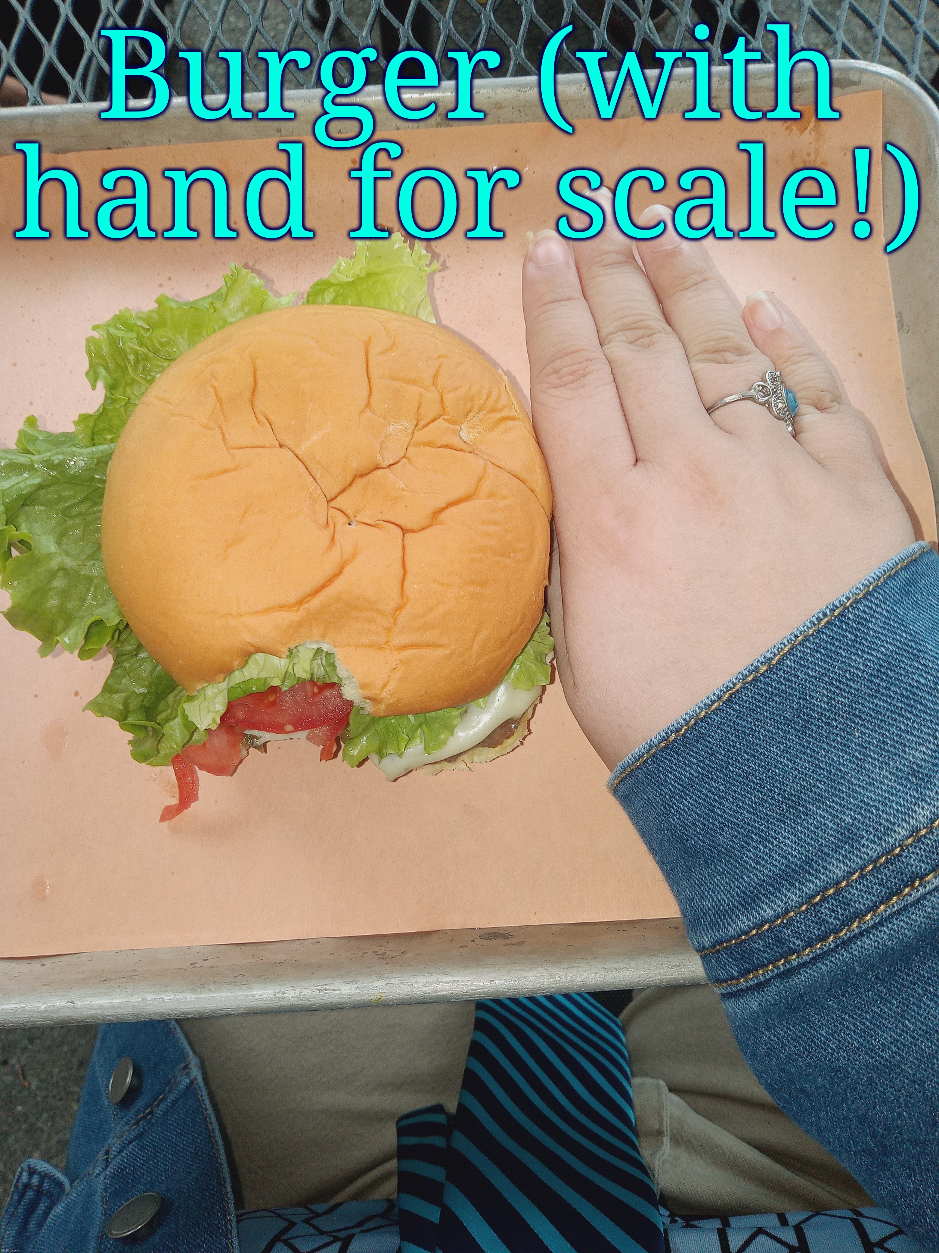 . | Burger (with hand for scale!) | made w/ Imgflip meme maker