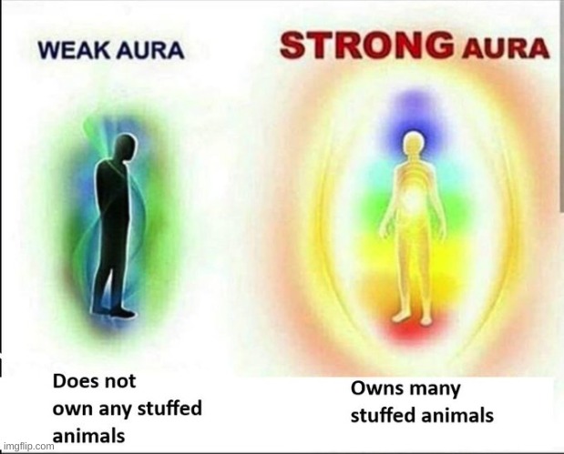 i got that s t r o n g aura (i literally own almost 100 stuffed animals most in storage tho) | made w/ Imgflip meme maker
