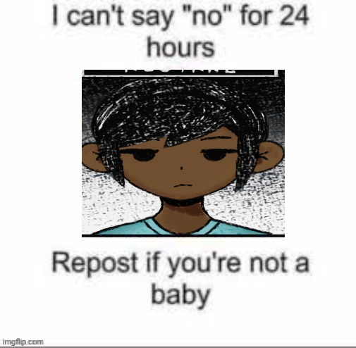 Can't say no for 24 hours | image tagged in can't say no for 24 hours | made w/ Imgflip meme maker