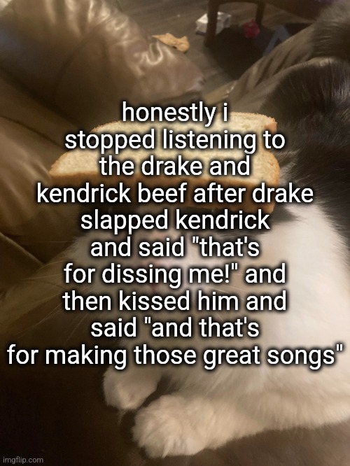 bread cat | honestly i stopped listening to the drake and kendrick beef after drake slapped kendrick and said "that's for dissing me!" and then kissed him and said "and that's for making those great songs" | image tagged in bread cat | made w/ Imgflip meme maker