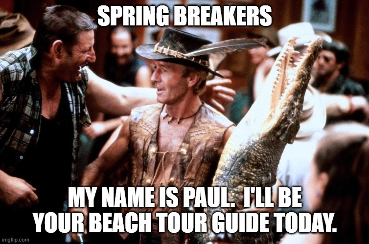 Spring Break | SPRING BREAKERS; MY NAME IS PAUL.  I'LL BE YOUR BEACH TOUR GUIDE TODAY. | image tagged in day at the beach | made w/ Imgflip meme maker