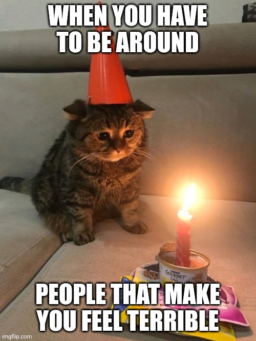 currently i have to constantly be around people that insult me just for existing | WHEN YOU HAVE TO BE AROUND; PEOPLE THAT MAKE YOU FEEL TERRIBLE | image tagged in sad birthday cat,group,socialization | made w/ Imgflip meme maker