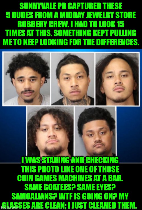 Funny | SUNNYVALE PD CAPTURED THESE 5 DUDES FROM A MIDDAY JEWELRY STORE ROBBERY CREW. I HAD TO LOOK 15 TIMES AT THIS. SOMETHING KEPT PULLING ME TO KEEP LOOKING FOR THE DIFFERENCES. I WAS STARING AND CHECKING THIS PHOTO LIKE ONE OF THOSE COIN GAMES MACHINES AT A BAR. SAME GOATEES? SAME EYES? SAMOALIANS? WTF IS GOING ON? MY GLASSES ARE CLEAN; I JUST CLEANED THEM. | image tagged in funny,match,photo of the day,picture,robbery,jewelry | made w/ Imgflip meme maker