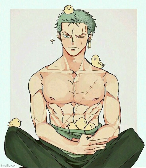 Cute | image tagged in zoro,chicks,baby chickens,cute,tsundere | made w/ Imgflip meme maker