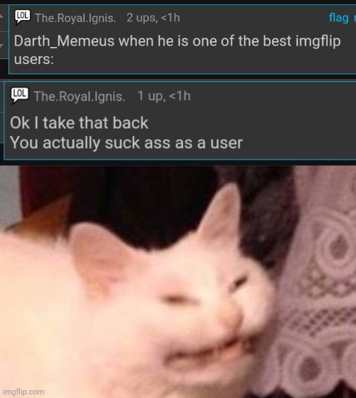 development | image tagged in cat laughing | made w/ Imgflip meme maker