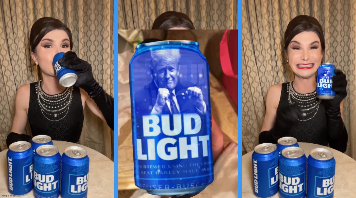 Bud Light | image tagged in bud light | made w/ Imgflip meme maker