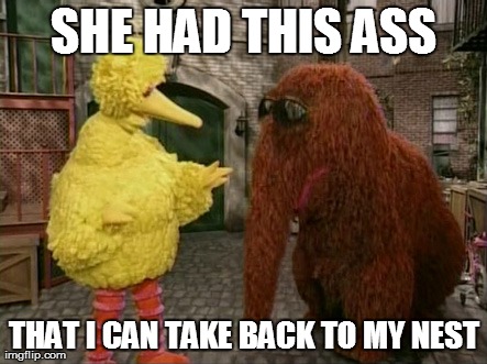 Big Bird And Snuffy | SHE HAD THIS ASS THAT I CAN TAKE BACK TO MY NEST | image tagged in memes,big bird and snuffy | made w/ Imgflip meme maker