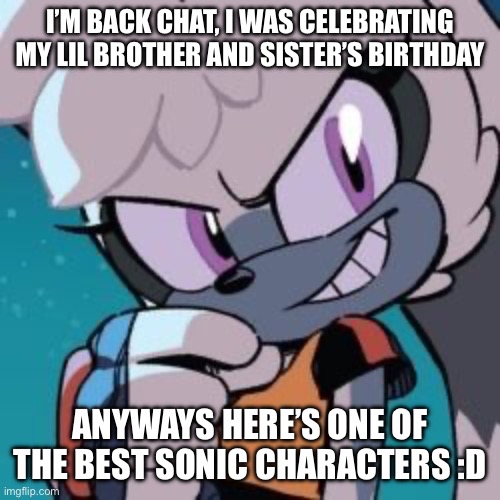 I’M BACK CHAT, I WAS CELEBRATING MY LIL BROTHER AND SISTER’S BIRTHDAY; ANYWAYS HERE’S ONE OF THE BEST SONIC CHARACTERS :D | made w/ Imgflip meme maker