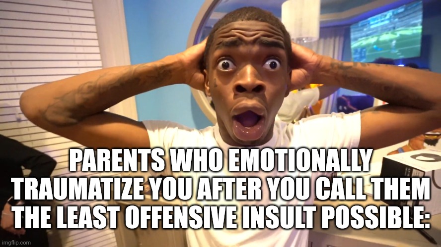 real | PARENTS WHO EMOTIONALLY TRAUMATIZE YOU AFTER YOU CALL THEM THE LEAST OFFENSIVE INSULT POSSIBLE: | image tagged in surprised black guy | made w/ Imgflip meme maker