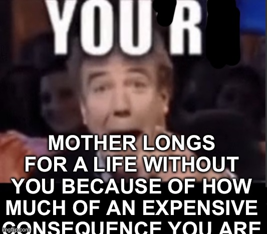 @user | MOTHER LONGS FOR A LIFE WITHOUT YOU BECAUSE OF HOW MUCH OF AN EXPENSIVE CONSEQUENCE YOU ARE | image tagged in you're x blank | made w/ Imgflip meme maker