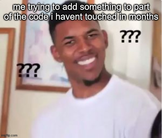 Nick Young | me trying to add something to part of the code i havent touched in months | image tagged in nick young | made w/ Imgflip meme maker