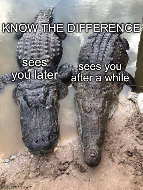 KNOW THE DIFFERENCE; sees you later; sees you after a while | image tagged in alligator,crocodile | made w/ Imgflip meme maker