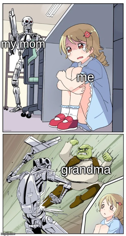 funny meme 2 | my mom; me; grandma | image tagged in shrek killing terminator,mom,old | made w/ Imgflip meme maker