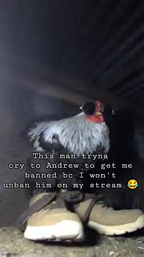 Drip chicken Sp3x_ | This man tryna cry to Andrew to get me banned bc I won't unban him on my stream 😂 | image tagged in drip chicken sp3x_ | made w/ Imgflip meme maker