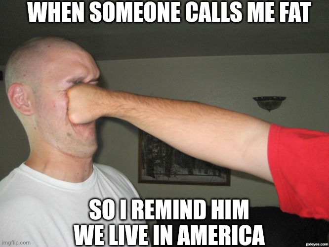 Face punch | WHEN SOMEONE CALLS ME FAT; SO I REMIND HIM WE LIVE IN AMERICA | image tagged in face punch | made w/ Imgflip meme maker