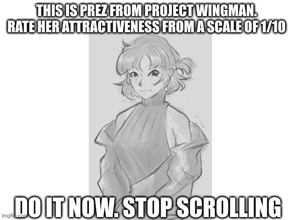 Stop Scrolling and Comment N O W | THIS IS PREZ FROM PROJECT WINGMAN. RATE HER ATTRACTIVENESS FROM A SCALE OF 1/10; DO IT NOW. STOP SCROLLING | image tagged in project wingman,prez | made w/ Imgflip meme maker