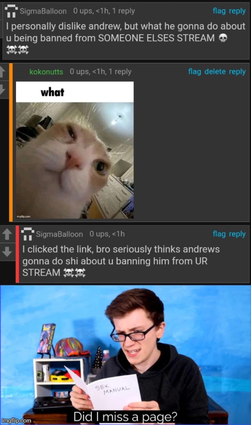 image tagged in did i miss a page | made w/ Imgflip meme maker