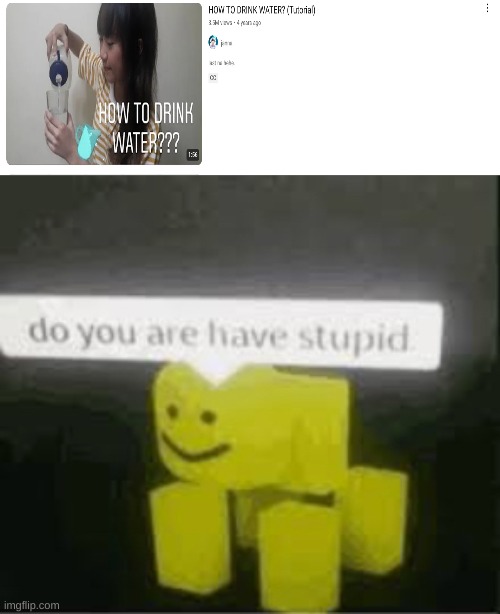 yes is has he stupid | image tagged in do you are have stupid,water,tutorial | made w/ Imgflip meme maker