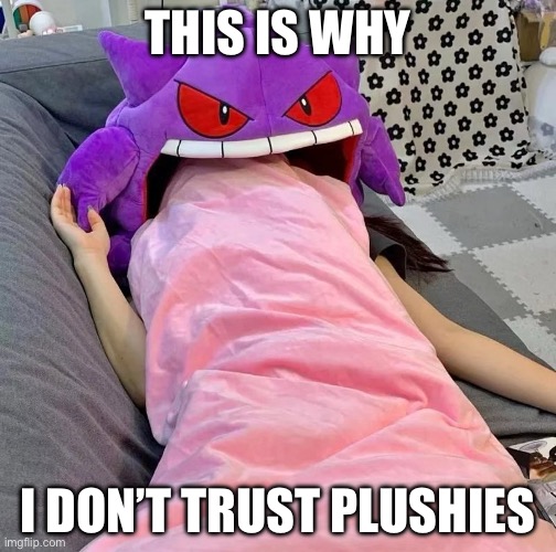 Plushies | THIS IS WHY; I DON’T TRUST PLUSHIES | image tagged in plush | made w/ Imgflip meme maker